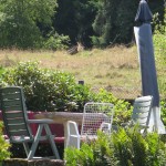 Die Terrasse